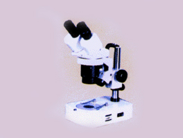 連續(xù)變倍實體顯微鏡